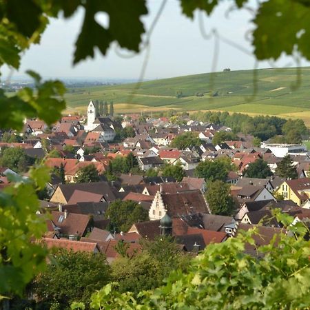 Pfaffenweiler Ferienwohnung Schneckental מראה חיצוני תמונה