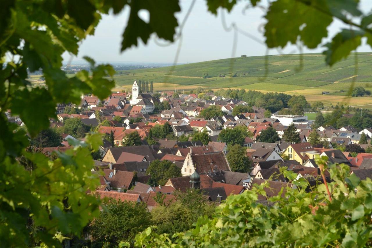 Pfaffenweiler Ferienwohnung Schneckental מראה חיצוני תמונה